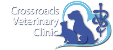 Crossroads Veterinary Clinic Naples Florida